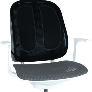 9191301_OfficeSuites_Mesh_BackSupport_R