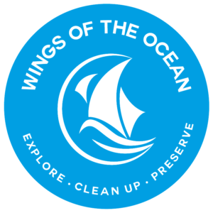 Logo Wings (1) - Copie