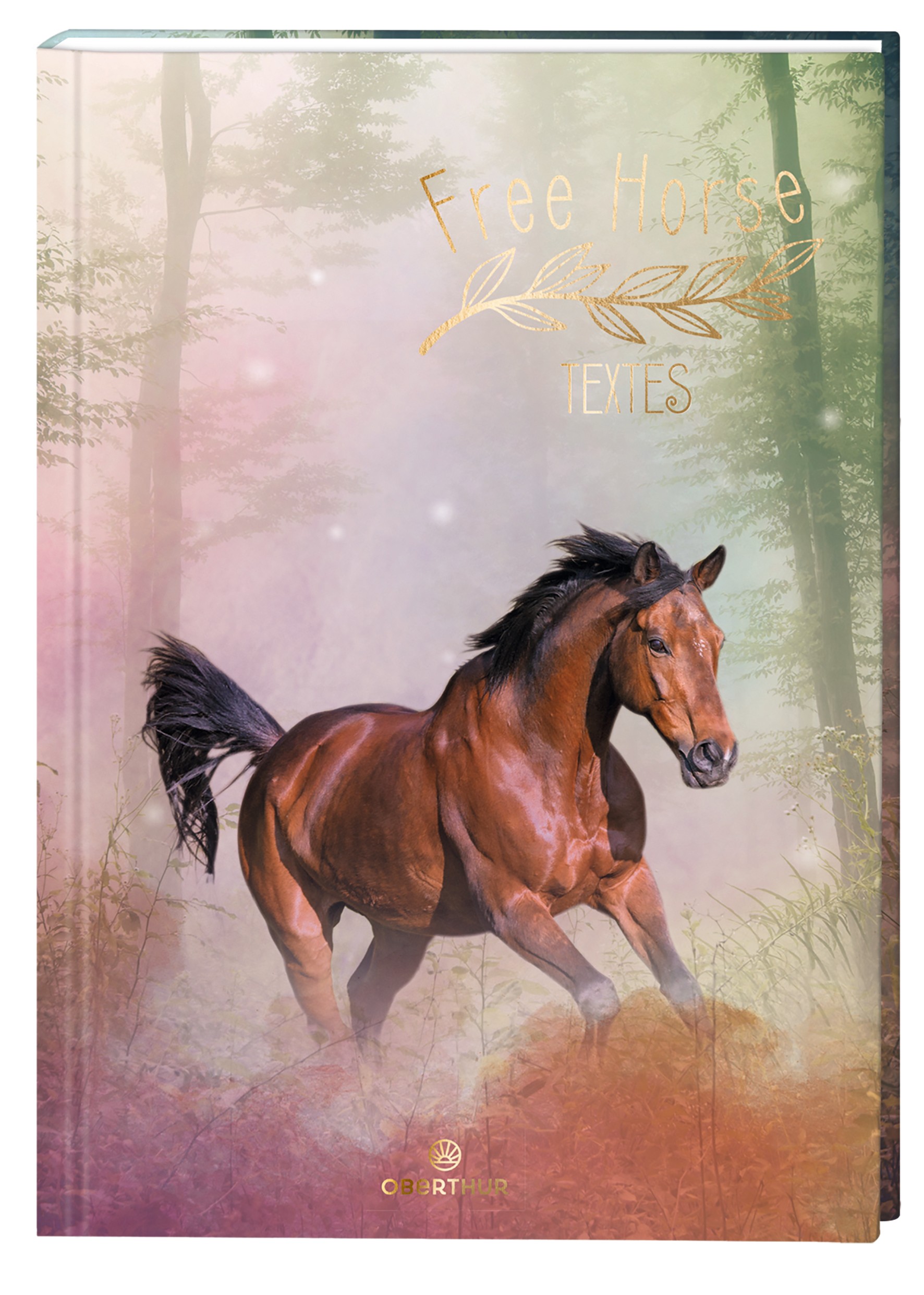 Cahier De Textes Cheval 15 5 X 22 Cm Oberthur Pas Cher Bureau Vallee