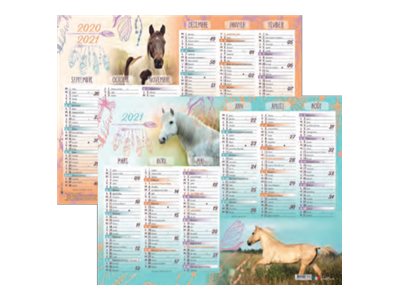 Oberthur - Calendrier cheval - 52 x 40,5 cm - 6 mois par face Pas Cher