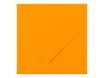 Canson Iris Vivaldi - Papier - 500 x 650 mm - orange fluo - 250 g/m²