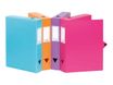 Viquel - Boîte de classement plastique - dos 80 mm - rose fuchsia