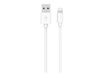 BigBen WOW - câble de charge et de synchronisation USB/Connectique Lightning - 1m - blanc