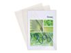 Exacompta - 50 Pochettes coin (étui carton) - A4 - 18/100 - incolore cristal
