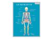 Bouchut - Fiche mémo Corps humain - double face - 265 x 205 mm