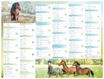 Calendrier Cheval - 7 mois par face - 32 x 42 cm - Oberthur
