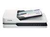 Epson WorkForce DS-1630 (B11B239401) - scanner de documents A4 - 1200 dpi x 1200 dpi - USB 3.0