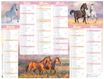 Calendrier Cheval - 6 mois par face - 21 x 26,5 cm - Oberthur