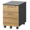 Caisson mobile JAZZ+ - Profondeur 60 cm - 2 tiroirs - chêne du bocage