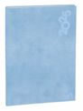 Quo Vadis Gaia - Agenda - 2025 - semainier - reliure piquée - mini - 100 x 150 mm - portrait - papier blanc - couleur unique - cloud blue cover - papier cartonné