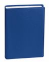 EUROTEXTAGENDA ML Impala - Bleu océan - 12x17 cm - Journalier - 12 mois de août à juillet - Quo Vadis