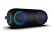 Ryght TOOGO-L - Haut-parleur - pour utilisation mobile - sans fil - Bluetooth - 20 Watt
