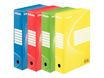 Esselte Standard - 10 boîtes archives - dos 8 cm - couleurs assorties