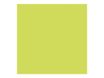 Pollen - 25 Cartes - 135 x 135 mm - 210 g/m² - vert bourgeon