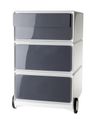 Caisson de bureau mobile EASYBOX - 2 tiroirs et 2 plumiers - Anthracite