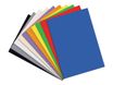 Apli - 10 feuilles mousse - coloris assortis