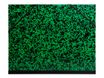 Exacompta - Carton à dessin à élastiques - 52 x 72 cm - vert