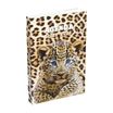 Agenda Print Animaux - 1 jour par page - 12 x 17 cm - différents modèles disponibles - Hamelin