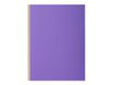 Exacompta Rock"s - 10 Chemises à soufflet - 320 gr - couleurs assorties