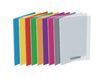 Conquérant Classique - Cahier polypro A4 (21x29,7cm) - 96 pages - grands carreaux (Seyes) - disponible dans différentes couleurs