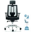 Fauteuil de bureau SHADE - accoudoirs réglables - appuie-tête réglable - noir