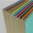 3068590309054-Extendos - Trieur 9 positions - vert-P_309_1-0
