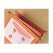 3249441020209-Esselte Kori - 25 Dossiers suspendus pour tiroirs - fond V - orange-P_10202_3-2