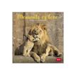 8051128759860-Legami - Calendrier mensuel 2024 - 18 x 18 cm - moments d'amour -Avant-0