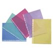 3135251060507-Viquel - 50 Pochettes perforées - A4 - 7/100 - couleurs assorties-P_11087_4-3