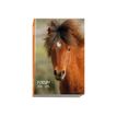 3660942101127-Exacompta Forum Animaux - agenda-P_18778_10-9