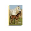 3660942101127-Exacompta Forum Animaux - agenda-P_18778_11-10