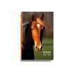 3660942101127-Exacompta Forum Animaux - agenda-P_18778_7-6