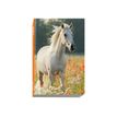 3660942101127-Exacompta Forum Animaux - agenda-P_18778_9-8