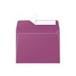 Pollen - 20 Enveloppes - 90 x 140 mm - 120 g/m² - cassis