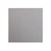0000000972628-Clairefontaine Maya - Papier à dessin - 50 x 70 cm - 25 feuilles - 270 g/m² - gris-P_97262_2-1
