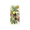 Bug Art - Bloc notes/to do list aimanté - 75 pages - toucans