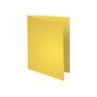 3288581601053-Exacompta Flash - 5 Paquets de 100 Chemises - 220 gr - canari-Angle droit-1