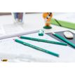 3270220000174-BIC ECOlutions EVOLUTION 650 - Pack de 10 Crayons à papier - HB--5
