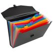 3135251172873-Viquel Rainbow Class - Classeur ménager (valisette trieur) 12 onglets--0