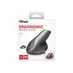 8713439221268-Trust Varo - souris sans fil ergonomique - noire-Avant-5