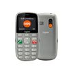 4250366858838-Gigaset GL390 - argent titane - 32 Mo - GSM - téléphone mobile-Multi-angle-4