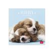 8051128759815-Legami - Calendrier mensuel 2024 - 18 x 18 cm - chiots -Avant-0