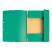 3130632553036-Exacompta Nature Future - 10 Chemises à 3 rabats - A4 - pour 250 feuilles - vert-P_1855303_3-2
