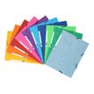 3130630555100-Exacompta Nature Future - 10 Chemises à 3 rabats - A4 - pour 250 feuilles - couleurs vives -P_1855510_1-0