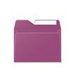 Pollen - 20 Enveloppes - 114 x 162 mm - 120 g/m² - cassis