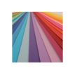 3148950402301-Canson Iris Vivaldi - Papier - 500 x 650 mm - lilas - 185 g/m²-P_300043356_2-1