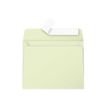 Pollen - 20 Enveloppes - 90 x 140 mm - 120 g/m² - vert bourgeon