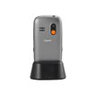4250366858838-Gigaset GL390 - argent titane - 32 Mo - GSM - téléphone mobile-Arrière-6