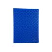 3130630852209-Exacompta OffiX - Porte vues - 40 vues - A4 - disponible dans différentes couleurs-Avant-1