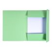 3130634448132-Exacompta Forever - 100 Chemises imprimées - 280 gr - vert pré-Avant-1